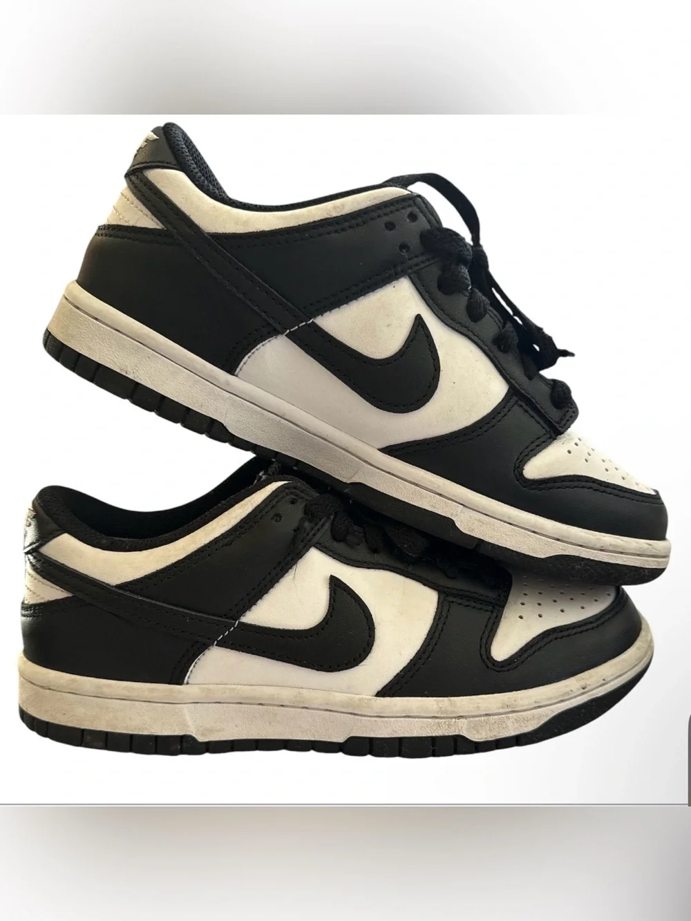 Nike Dunk Low Retro in the widely popular 